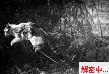 承德车内没有同意的伤害案一审宣判+台湾阳明山擎天岗直播网络事件完整版 5月17日黑料百度电影top10必看榜单