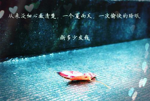 2606170016511161.jpg