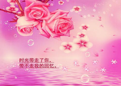午夜档案馆卡尔城市约会线3000块 约胸前风景前风景御姐酒店激战 嘴巴帮忙背后互动暧昧交流超配合